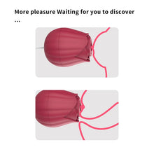 Load image into Gallery viewer, Clitori Sucker Stimulation Female Sex Toys