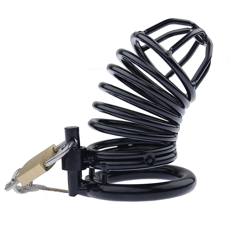 Cock Cage Male Chastity Device Locked Cage Sex Toy for Men,Key and Lock Included