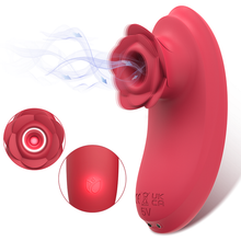 Load image into Gallery viewer, Rose Toy Sucker Vibrating Egg Sucking G-spot Massage Stimulator