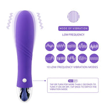 Load image into Gallery viewer, Vibrator 12 Dual-frequency Female Masturbation Stick Climax Waterproof Adult Products