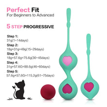 Load image into Gallery viewer, 3pcs Tight Ball Kegel Exercise Pelvic Tightening for Women Vaginal Dumbbell Exercise Ball