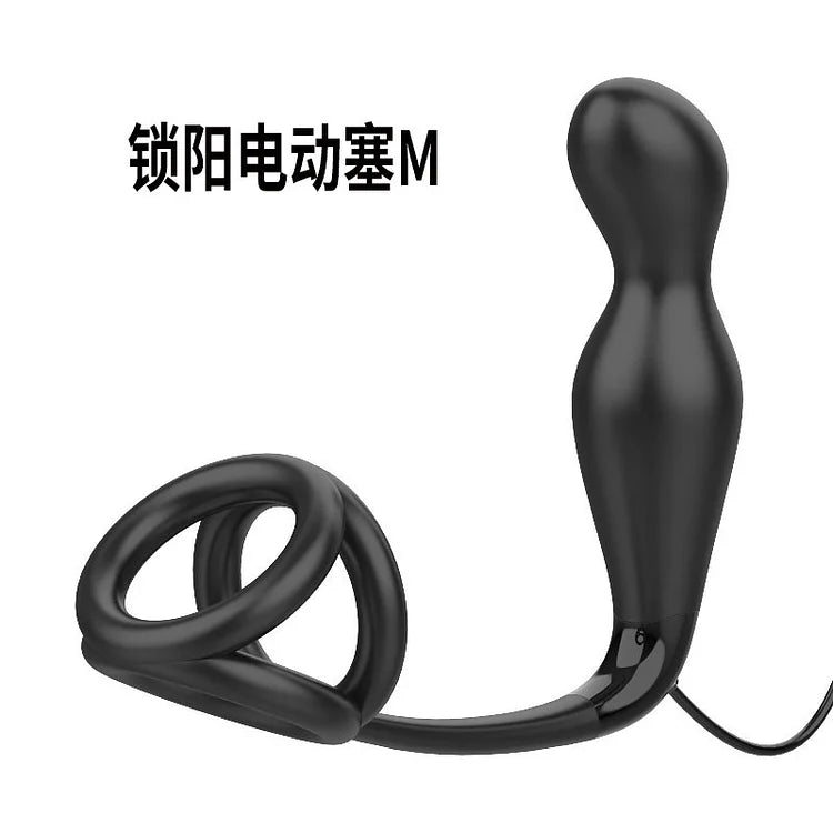 Pleasure Suoyang Electric Anus Plug Warming Exploratory Challenge Electric Rear Court Plug Magnetic Charging Fun Products